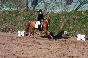 Bild 221 - WBO-Turnier am 9.4.11